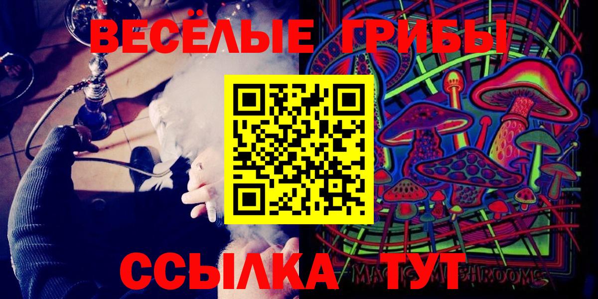 Галлюциногенные грибы мицелий  Вход с VPN  цена наркотик  Псилоцибиновые грибы Cubensis  Гусев 