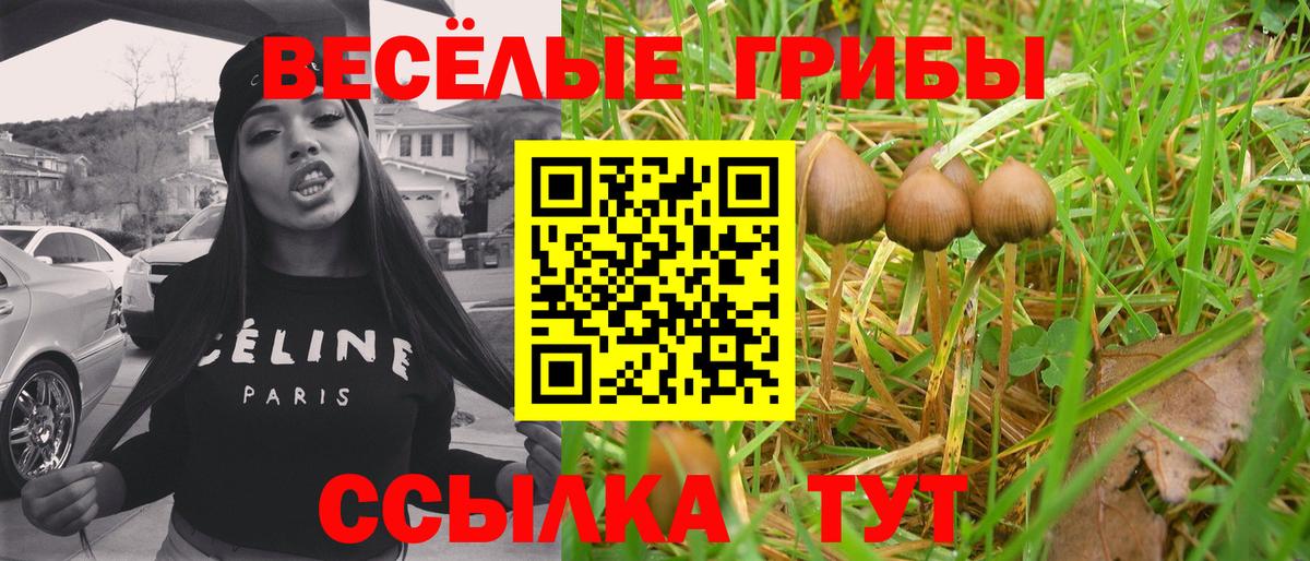 Галлюциногенные грибы мухоморы Гусев